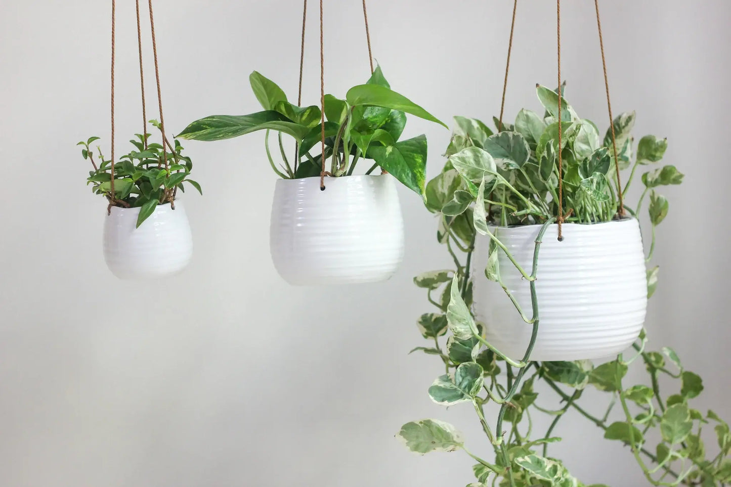 Small Ribbed Glossy White Ceramic Hanging Planter Pot: 5.5