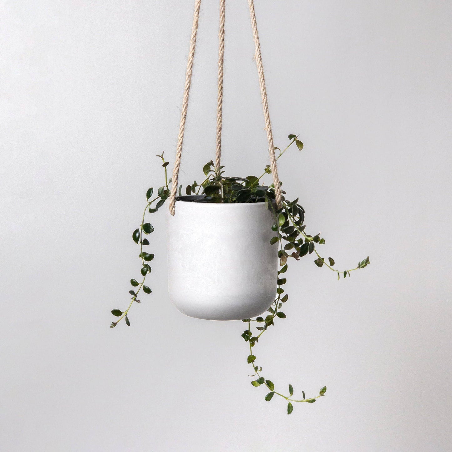 4" Signature Stone Hanging Planter Pot: Stone Grey