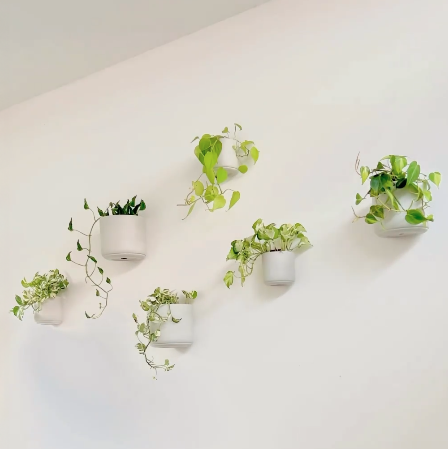 7" & 5" Wall Mounted Signature Stone Planters: 7" Wall Planter