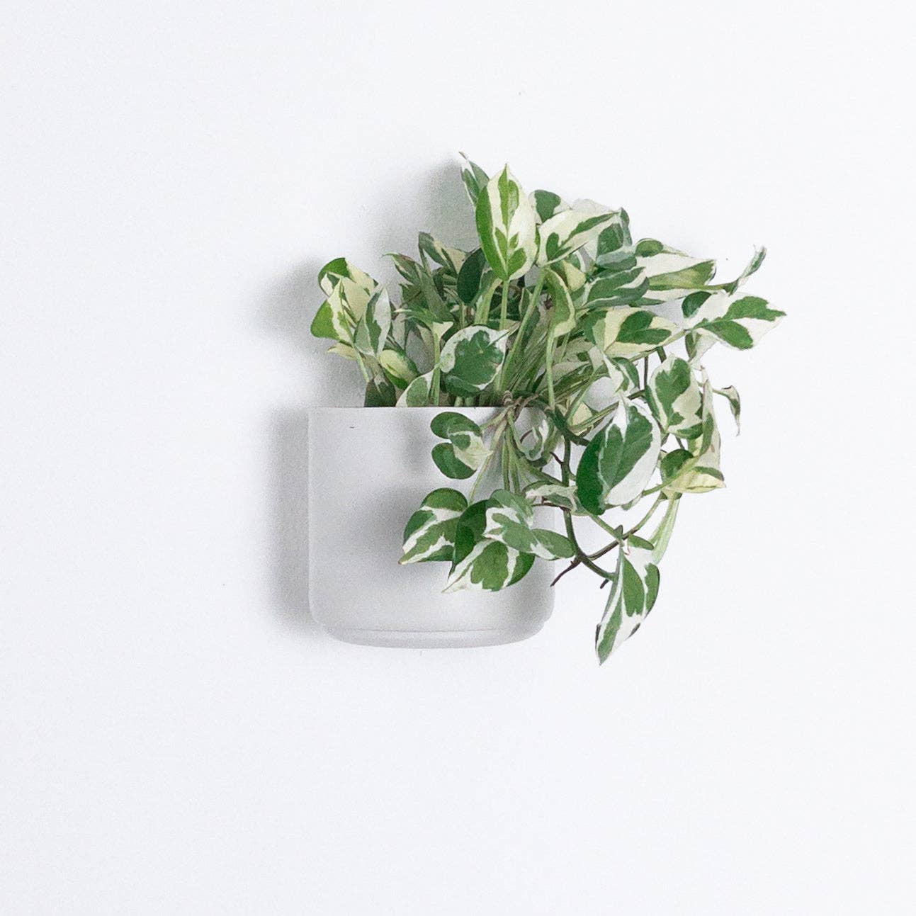 7" & 5" Wall Mounted Signature Stone Planters: 7" Wall Planter