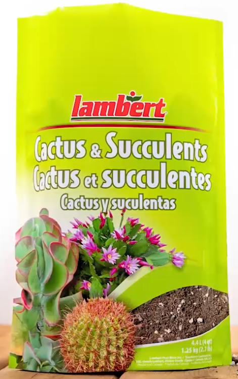 Lambert's Cactus & Succulents Mix 4.4L