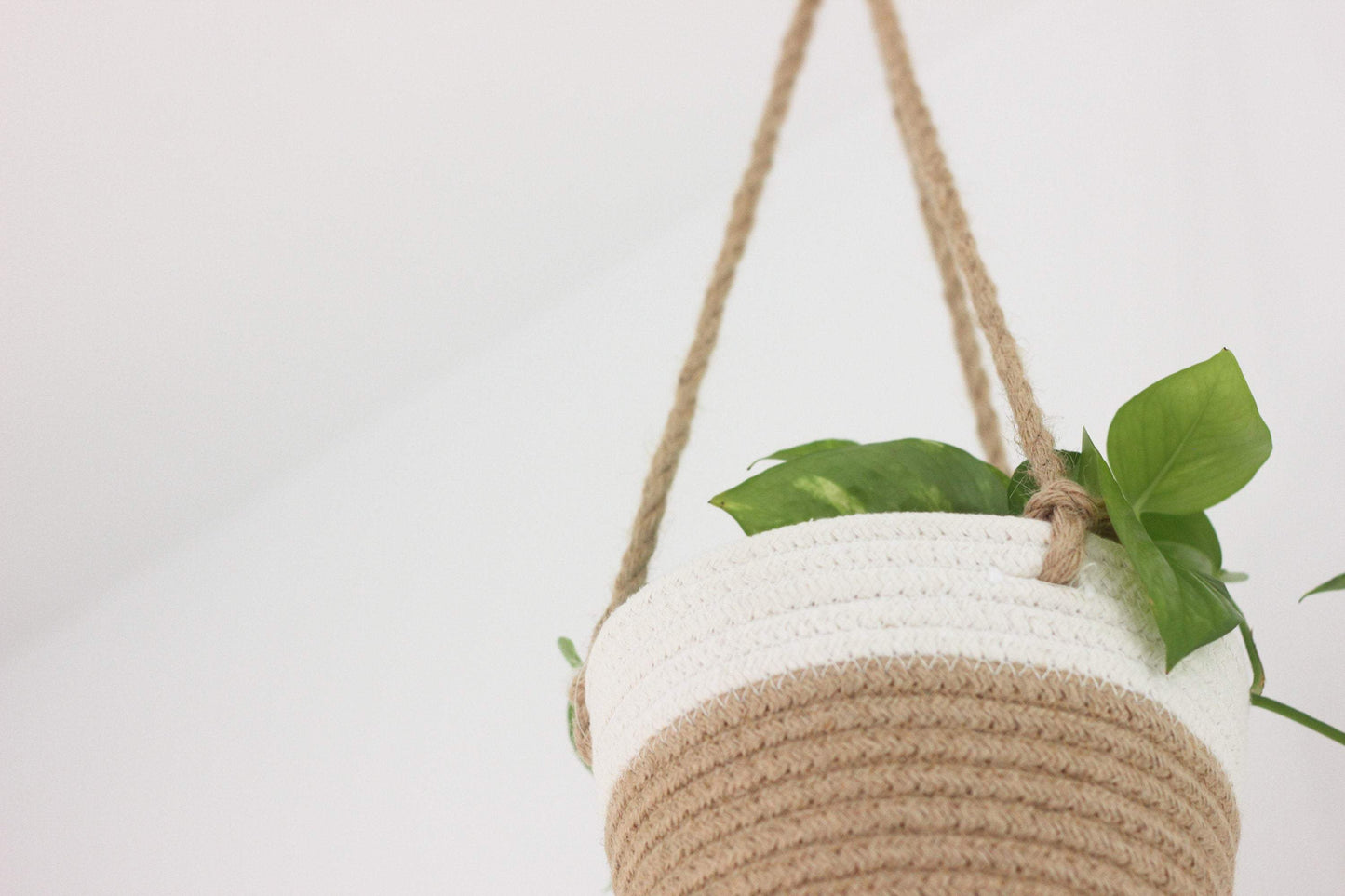 Medium Beige and White Cotton Rope Hanging Planter Basket: 7"