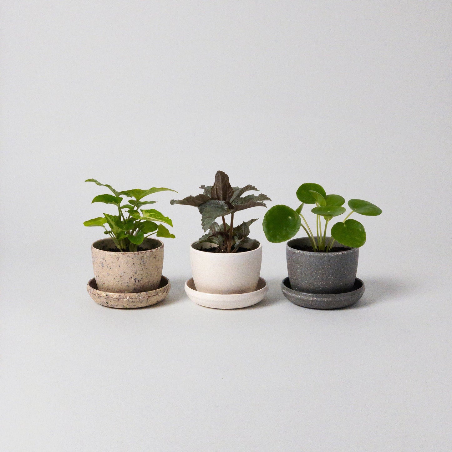 Three Set | Mini Planters Harmony Set: Mixed