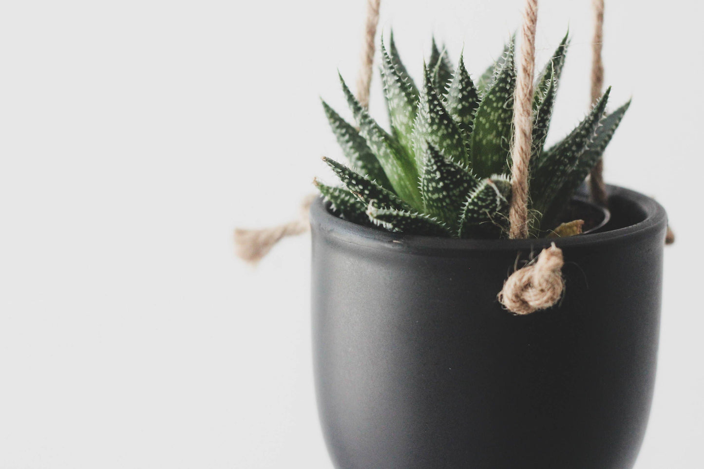 Matte Black Hanging Planter Pot: 7"