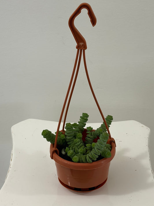 4” Baby Necklace Hanging Basket