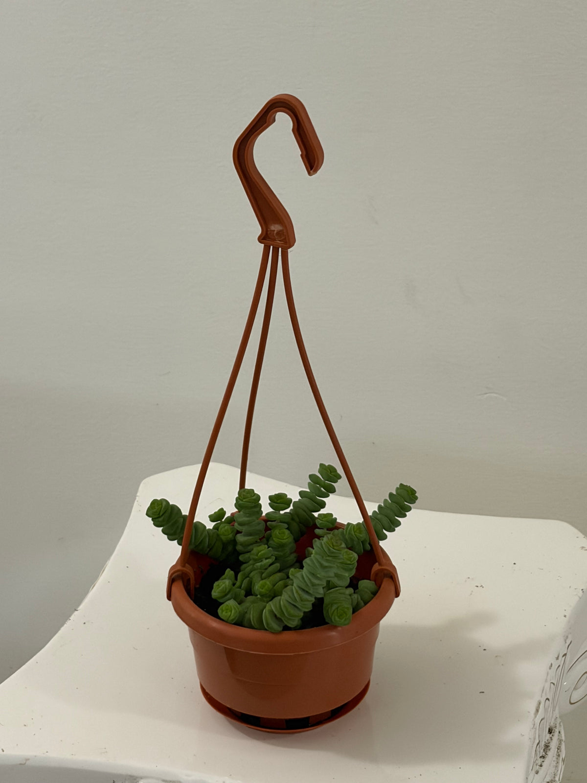 4” Baby Necklace Hanging Basket
