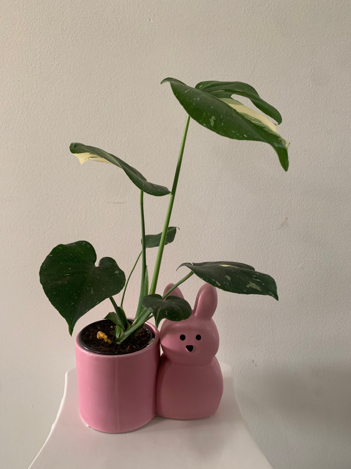 Pink Bunny Plant Pot