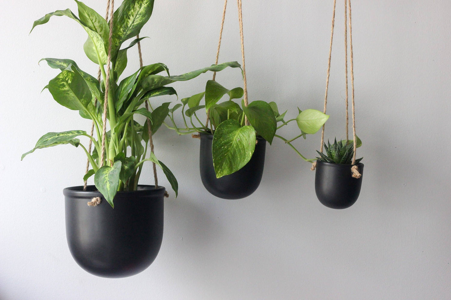 Matte Black Hanging Planter Pot: 7"