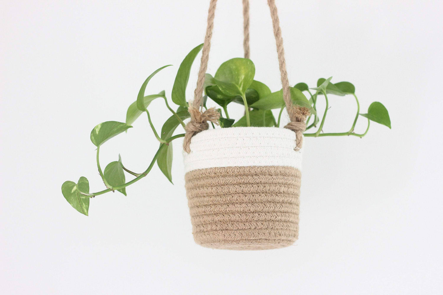 Medium Beige and White Cotton Rope Hanging Planter Basket: 7"