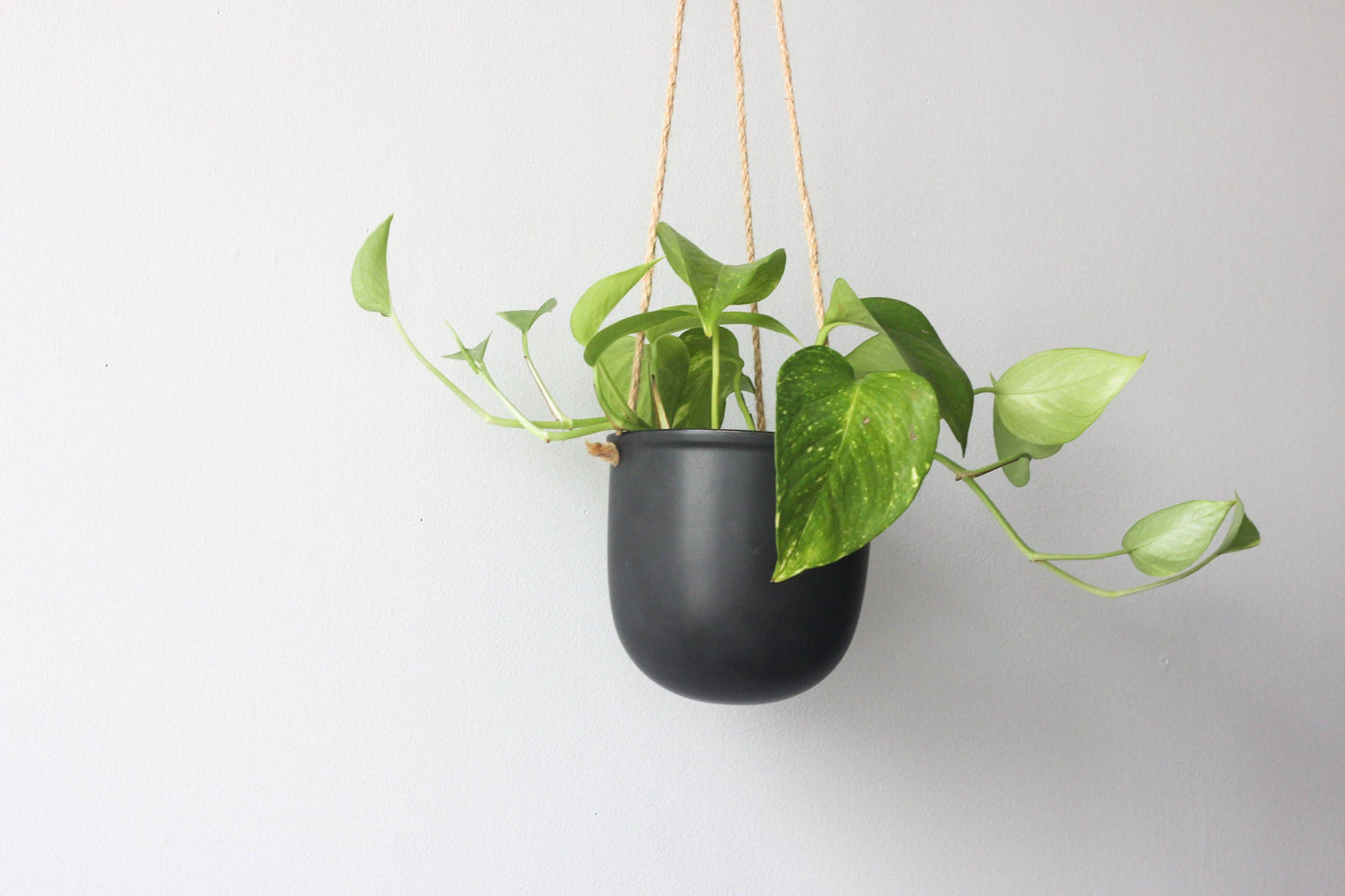 Matte Black Hanging Planter Pot: 7"