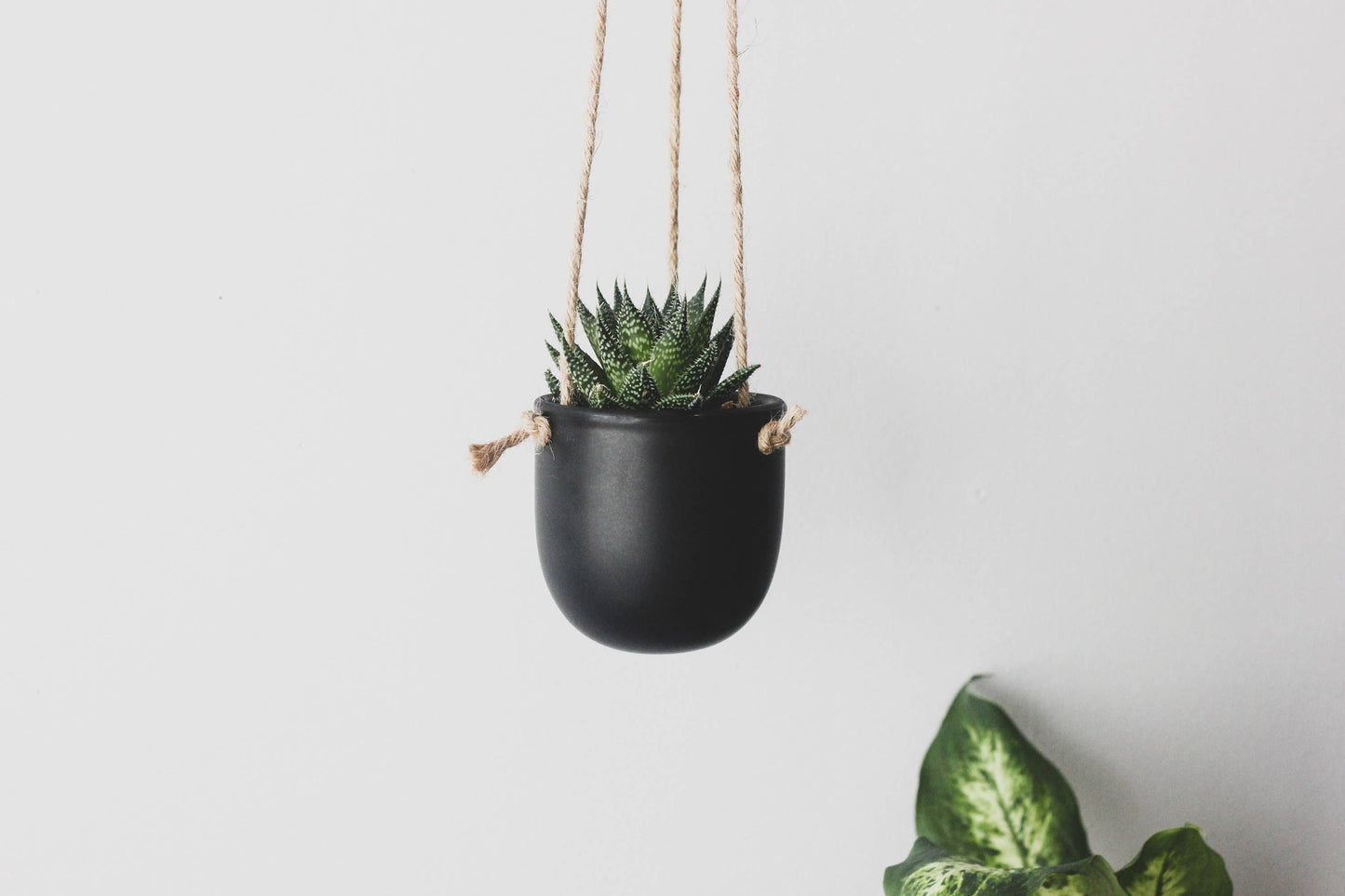 Matte Black Hanging Planter Pot: 7"