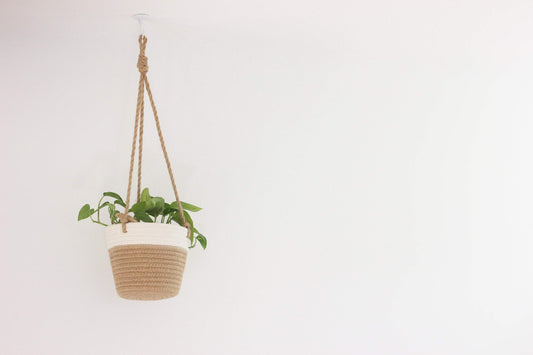 Medium Beige and White Cotton Rope Hanging Planter Basket: 7"