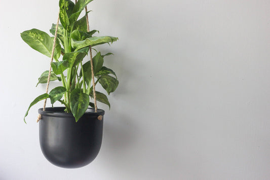 Matte Black Hanging Planter Pot: 7"