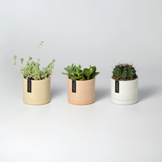 3.5" Earth Tone Mini Planters | 4 Colorways: Three Set Mixed