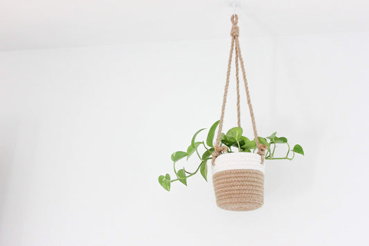 Medium Beige and White Cotton Rope Hanging Planter Basket: 5"