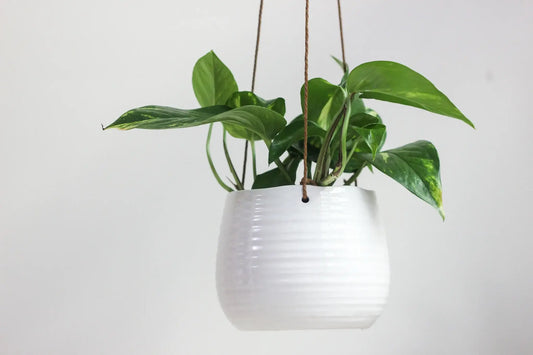 Small Ribbed Glossy White Ceramic Hanging Planter Pot: 5.5