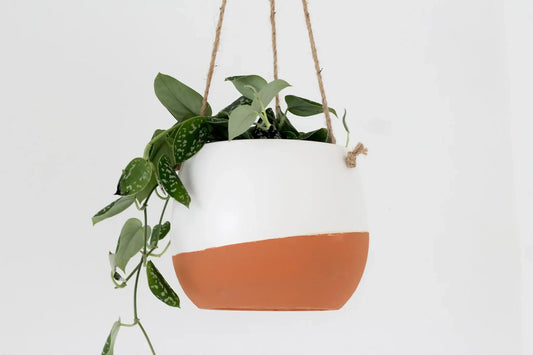 Large Burnt Orange Ceramic Hanging Planter Pot in White: 8