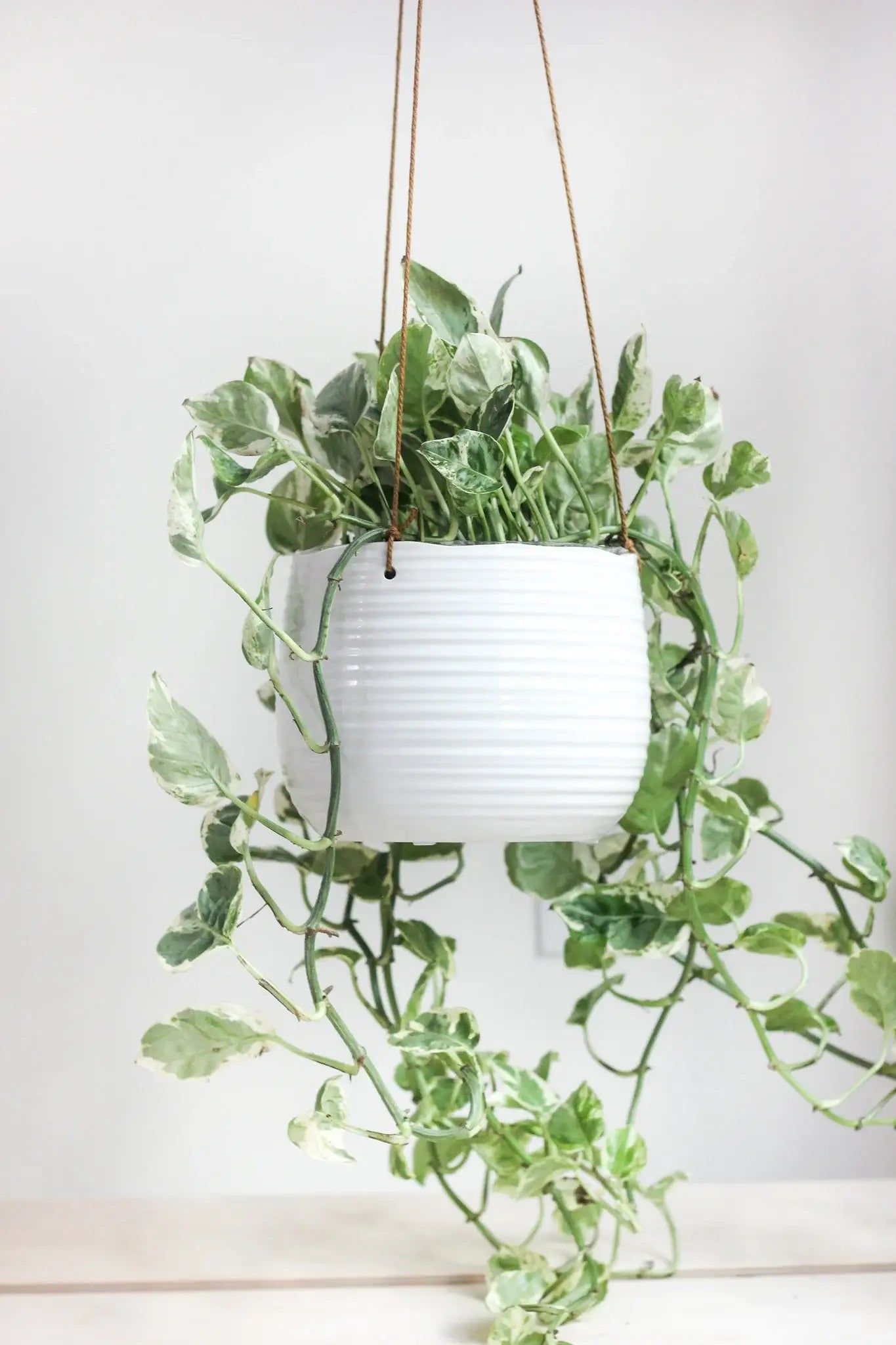 Large Ribbed Glossy White Ceramic Hanging Planter Pot: 7